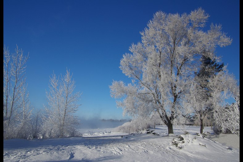 Lake Effect Frost